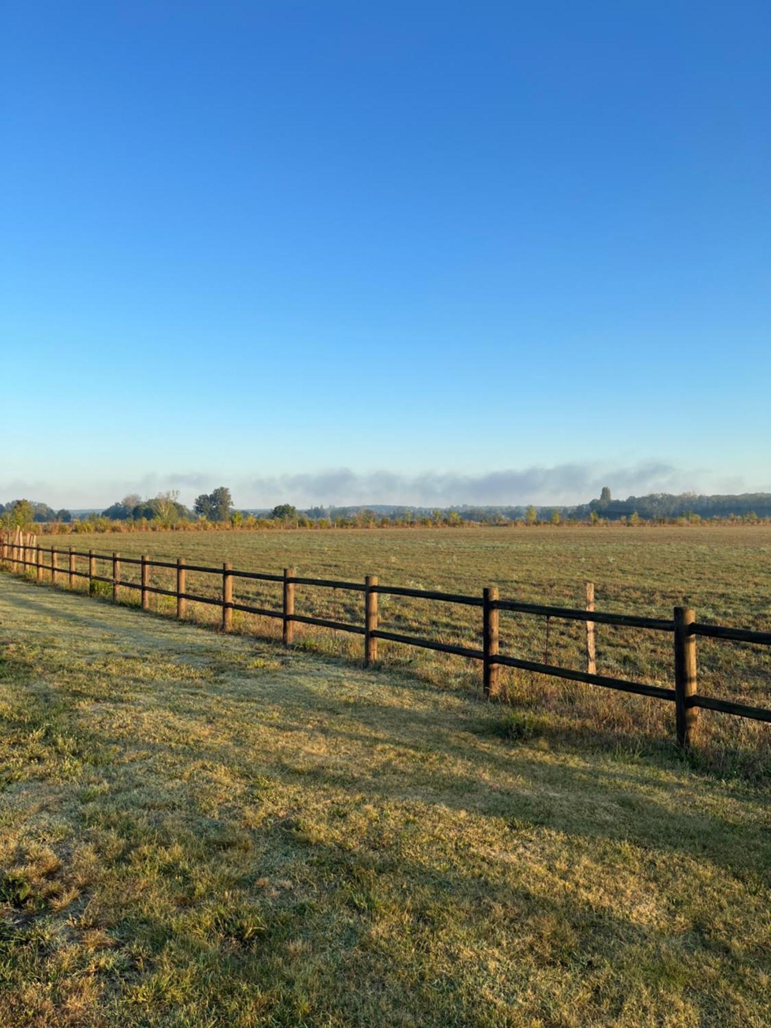 La Gouronerie Bed & Breakfast Parcay-sur-Vienne Luaran gambar